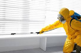 Best Termite Inspection and Treatment  in Rio Bravo, TX